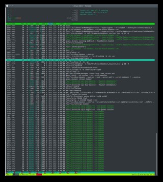 htop with Sato and Kiosk Browser